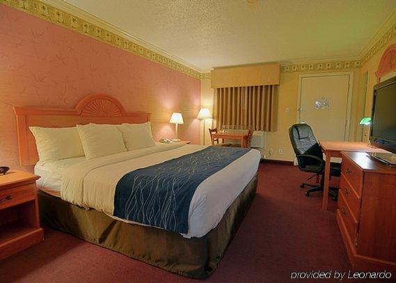 Comfort Inn & Suites Quakertown Εξωτερικό φωτογραφία